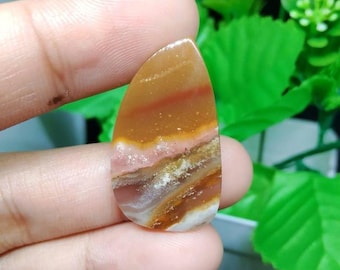 opalized petrified wood