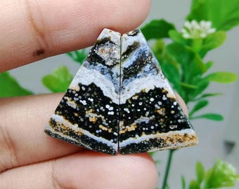 Pair opalized petrified wood