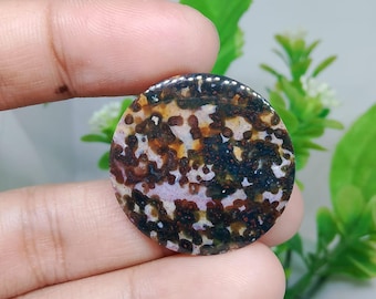 Opalized petrified wood