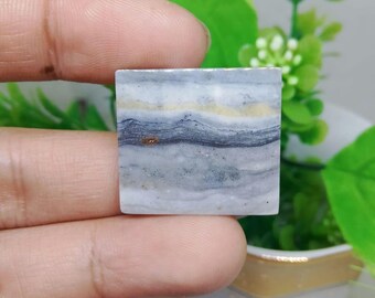 opalized petrified wood