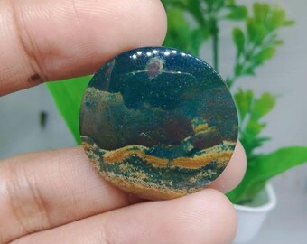 opalized petrified wood