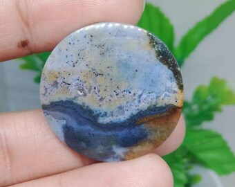 scenic opalized petrified wood
