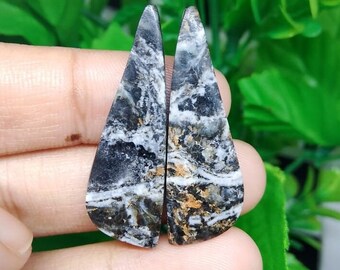 Pair Opalized petrified wood
