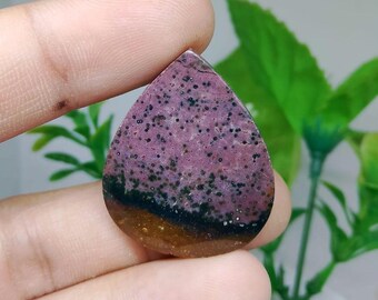 Opalized petrified wood