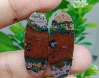 Pair opalized petrified wood