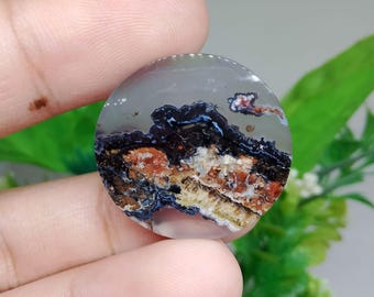 Opalized petrified wood