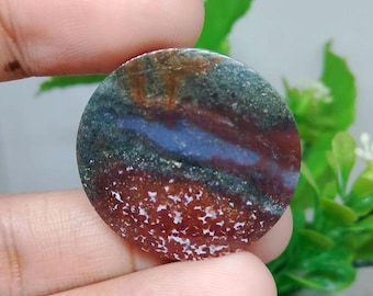 Opalized petrified wood