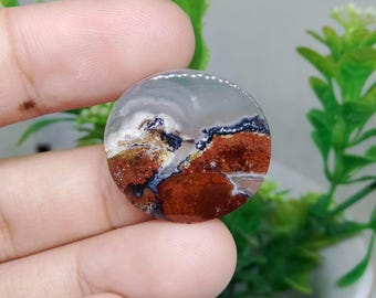 Opalisiertes versteinertes Holz