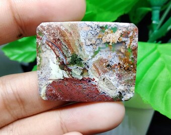Square Moss Agate Cabochon (32x26x4.5mm)