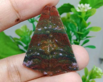 Pair opalized petrified wood