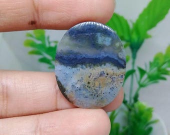 scenic opalized petrified wood