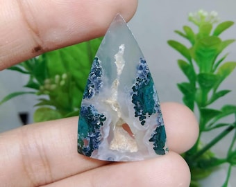 Druzy opalisiertes versteinertes Holz