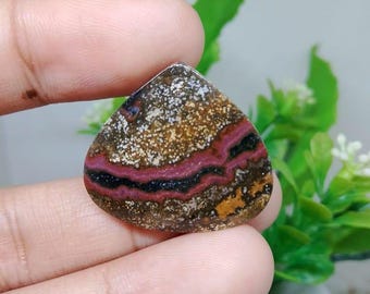 Opalized petrified wood