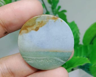 opalized petrified wood