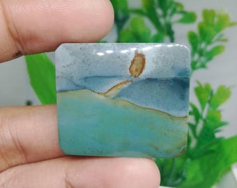 scenic opalized petrified wood