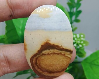opalized petrified wood