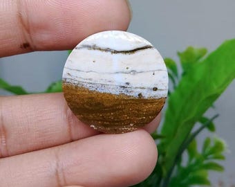 Opalisiertes versteinertes Holz