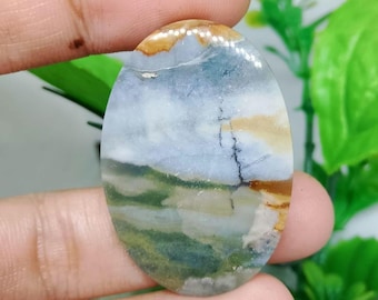 szenisch opalisiertes versteinertes Holz
