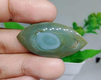 opalized petrified wood