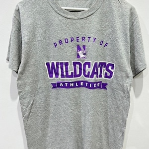 VTG Northwestern Wildcats tshirt size M