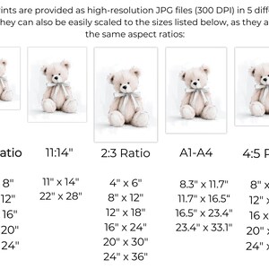 May include: Five art prints showcasing a beige teddy bear with a light grey ribbon. The prints are available in various sizes, including 15.2cm x 20.3cm, 27.9cm x 35.5cm, and 10.1cm x 15.2cm, with different aspect ratios. The image text states the prints are high-resolution JPG files.