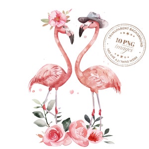 10 clipart de flamingos rosa, PNGs transparentes de alta qualidade, download instantâneo, artesanato em papel, projetos criativos