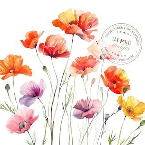 34 cliparts aquarelle coquelicots, images de coquelicots, PNG transparents de haute qualité, téléchargement immédiat, travaux manuels en papier, projets créatifs