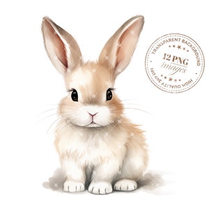 12 Cute Bunny Clipart, High Quality Transparent PNGs, Instant Download, Paper Crafts, Creative Projects