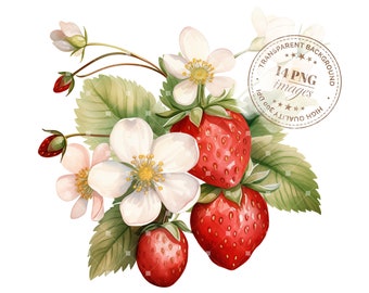 14 imágenes prediseñadas de fresas, hojas y flores, PNG transparentes de alta calidad, descarga instantánea, manualidades con papel, proyectos creativos