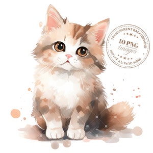 10 süße Katze Clipart, hochwertige transparente PNG Dateien, Sofort Download, Papier Handwerk, kreative Projekte