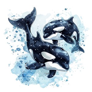 12 Cute Orca Clipart, High Quality Transparent Pngs, Instant Download