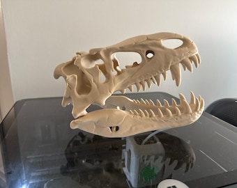 3D Printed T-Rex Skull: Unique Conversation Piece