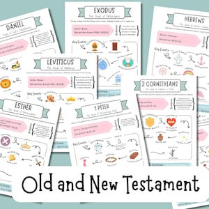 May include: A collection of educational posters about the Old and New Testament. Each poster features the book's title, author, date, key events, and audience. The posters are in a variety of colors and have a hand-drawn style.