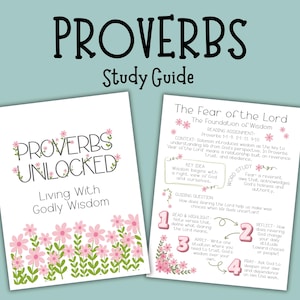 May include: Two study guides on a light blue background. The top guide reads "PROVERBS Study Guide." The left guide says "PROVERBS UNLOCKED Living With Godly Wisdom" with pink flower illustrations. The right guide is titled "The Fear of the Lord."