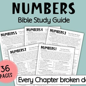 May include: A Bible study guide titled "Numbers" with the text "Bible Study Guide" in black. The guide includes several pages with summaries, symbolism, and truth revealed. A pink circle displays "36 pages" and the text "Every Chapter broken down".
