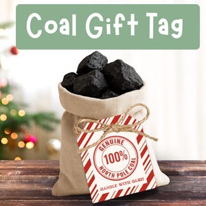 May include: A burlap sack filled with black coal, tied with twine, and a red and white striped gift tag that reads "Coal Gift Tag." The tag says "Genuine 100% North Pole Coal, Handle with Care!" A Christmas tree is in the background.