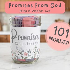 Puede incluir: Un tarro de cristal transparente lleno de papeles doblados, etiquetado como "Promesas para aferrarse". El tarro tiene una etiqueta blanca con detalles florales y el texto "Promesas de Dios". Un círculo rosa dice "¡101 Promesas!"