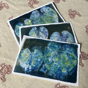 Set di tre cartoline botaniche in cianotipia, foglie con boccioli rossi