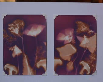 Top 10 eilleurs papier photo KODAK avis de 2024 - FindThisBest (FR