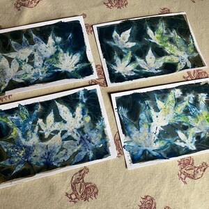 May include: Four framed prints of cyanotype prints of leaves. The prints are on white paper with a black border. The leaves are a light blue and green color.