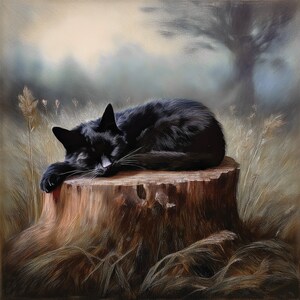 May include: A black cat with pointed ears and long whiskers is curled up and sleeping on top of a weathered, textured brown tree stump. The cat is positioned in the centre of the frame, resting its head on its front paw amidst tall grasses.