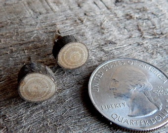 Small Magnolia Rustic Twig Wooden Stud Earrings by Tanja Sova