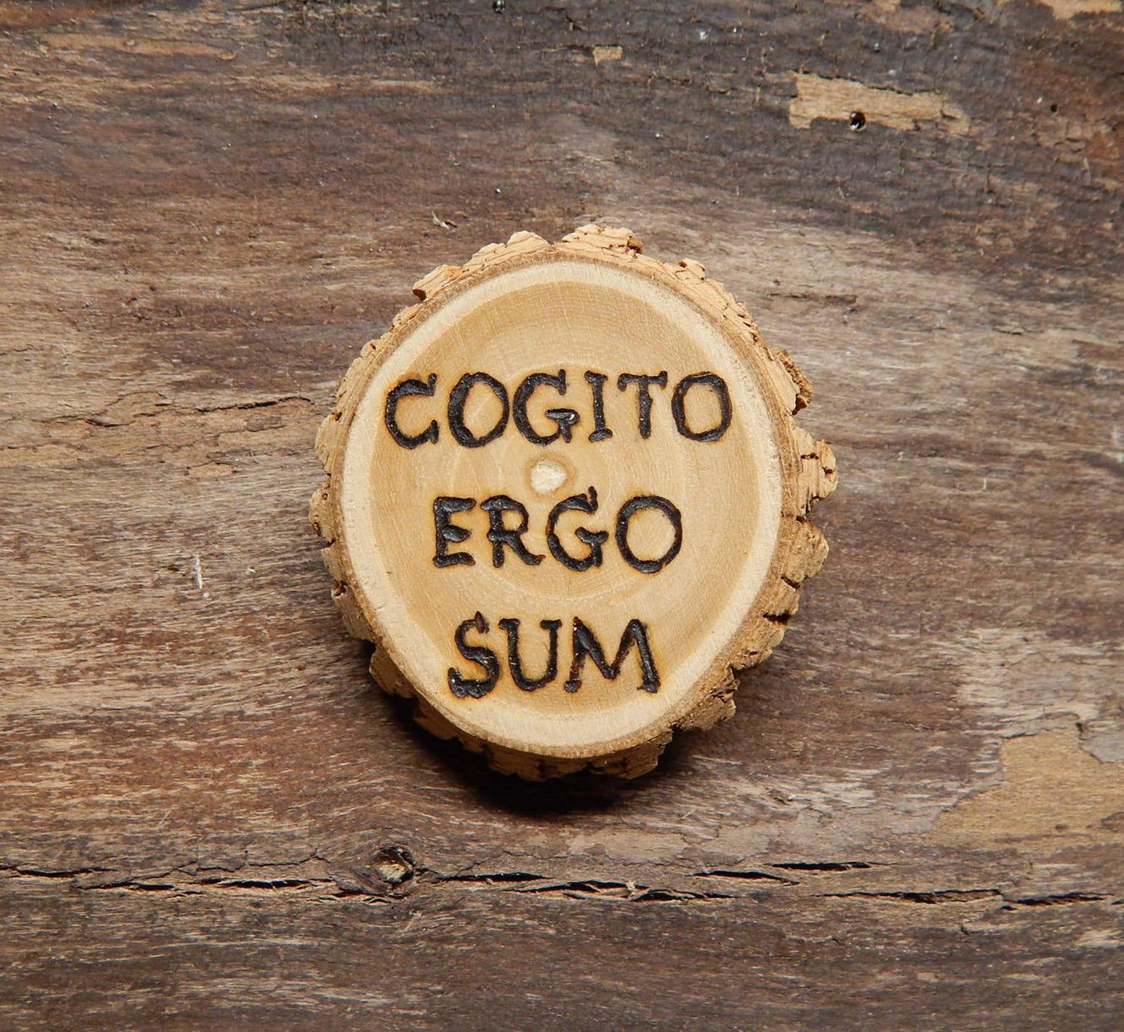 когито эрго сум декарт. Cogito ergo sum. мыслю, следовательно, существую. рене декарт эрго. когито эрго сум.