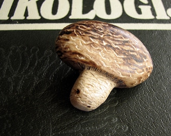 Fine Art Fungi Shiitake Lentinula edodes Basidiomycota Mushroom Brooch - Pin Pyrography Holly Wood Carving by Tanja Sova