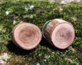 Myrtle Woodland Rustic Twig Wooden Stud Earrings by Tanja Sova