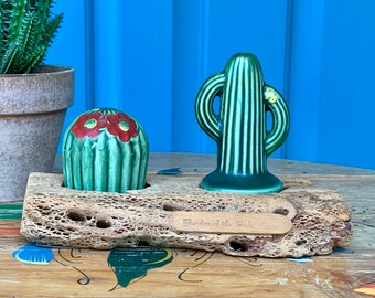 FREE SHIPPING-Vintage Ceramic Cactus Salt & Pepper Shakers in a Cholla Holder-Garden of the Gods, Colorado-Kitchen Decor-Nature Decor
