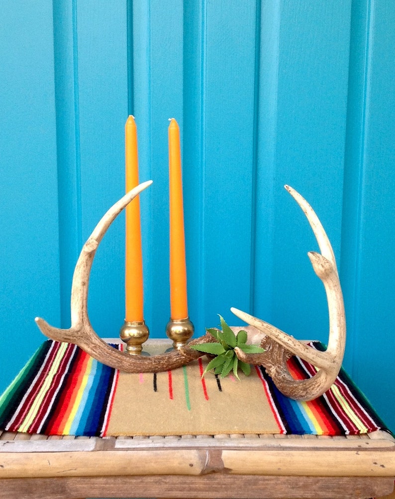 SALE-FREE SHIPPING-Vintage Real Deer Antler Rack-8 Point Whitetail Deer Antler Rack wSkull Bone-Farmhouse-Rustic Holiday Decor-Art Project