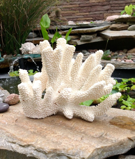 SALE-FREE Shipping-vintage Large Natural White Branch Coral