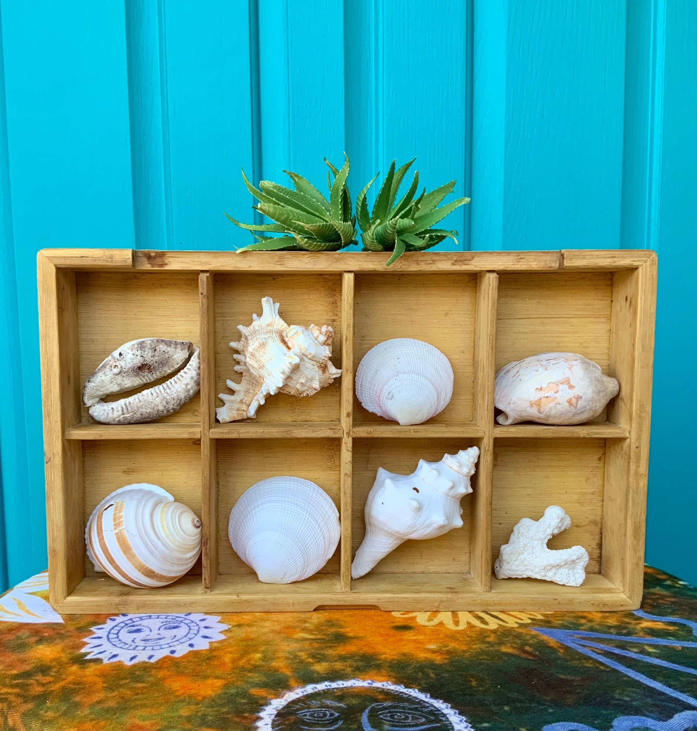 Seashell Bamboo Tea Box