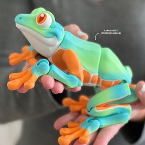 May include: A large, green and blue frog toy with orange accents. The frog is posed with its legs outstretched and its head tilted up. The toy is labeled "Large Adult (Premium Jungle)".